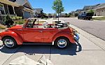  Beetle Thumbnail 47
