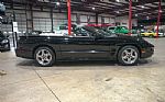 2001 Firebird Trans Am Convertible Thumbnail 10