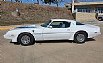 1979 Trans Am Thumbnail 1