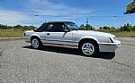 1984 Mustang GT350 Thumbnail 3