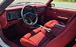 1984 Mustang GT350 Thumbnail 8