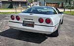 1984 Corvette Thumbnail 12