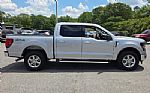 2024 F-150 Thumbnail 11