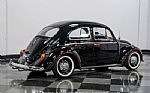 1963 Beetle Thumbnail 12