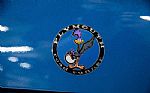 1971 Roadrunner Thumbnail 66