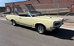 1966 GTO Thumbnail 39