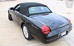 2004 Thunderbird Thumbnail 16