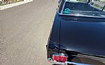 1965 Mustang Thumbnail 85