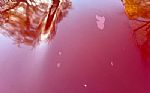 1975 Corvette Thumbnail 28