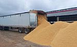 2010 48FT Hopper/Grain Trailer Thumbnail 9