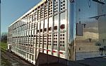 2021 Livestock Trailer Thumbnail 3