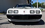 1981 Trans Am Daytona Pace Car Thumbnail 2