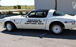 1981 Trans Am Daytona Pace Car Thumbnail 11