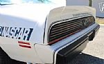 1981 Trans Am Daytona Pace Car Thumbnail 34