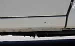 1981 Trans Am Daytona Pace Car Thumbnail 57