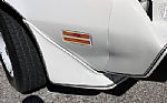 1981 Trans Am Daytona Pace Car Thumbnail 55