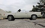 1986 600 Thumbnail 6