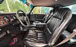 1979 Firebird Thumbnail 27