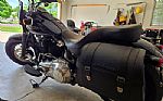 2019 Softail Slim Thumbnail 4