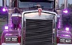 2020 W900L Thumbnail 3