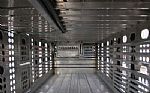 2024 Livestock Trailer Thumbnail 13