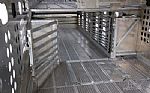 2024 Livestock Trailer Thumbnail 15