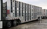 2024 Livestock Trailer Thumbnail 38