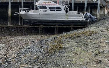 Photo of a 2007 Nichols Custom Aluminum Catamaran for sale
