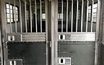 2005 4 Horse Trailer with Living Quarters Thumbnail 5