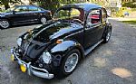 1967 Beetle Thumbnail 1
