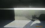 2013 Vista Thumbnail 13