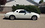 2003 Thunderbird Convertible Thumbnail 5