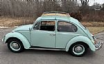1966 Beetle Thumbnail 5