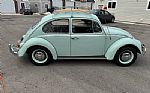 1966 Beetle Thumbnail 6