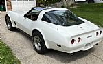1981 Corvette Thumbnail 5