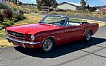1965 Mustang Thumbnail 1