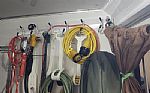 2019 7209 2 Horse Trailer with Living Quarters Thumbnail 22