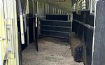 2005 5 Horse Thumbnail 11
