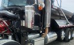 2010 388 Thumbnail 4