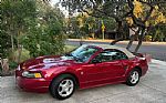 2004 Mustang Convertible Thumbnail 1