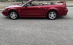 2004 Mustang Convertible Thumbnail 3