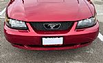 2004 Mustang Convertible Thumbnail 4