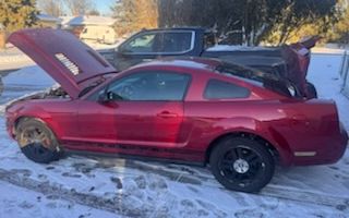 Photo of a 2007 Ford Mustang Pony Package for sale