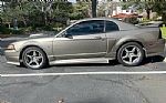 2001 Mustang Roush Stage 2 Thumbnail 7