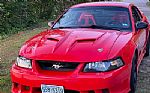 1999 Mustang GT Thumbnail 1