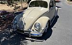 1956 Beetle Coupe Thumbnail 1