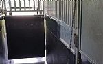 2017 Transporter 6 Horse Thumbnail 10