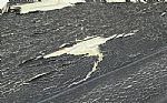 1968 Fury III 4 Door Hardtop Thumbnail 44