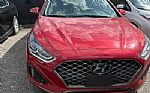 2019 Sonata Thumbnail 2
