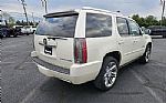 2013 Escalade Thumbnail 5